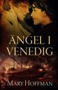 Angel of Venice