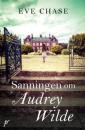The vanishing of Audrey Wilde
