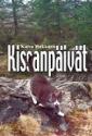 Kissanpäivät