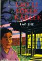 The quest for love of Lao Lee