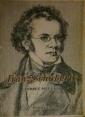 Franz Schubert : laulun mestari