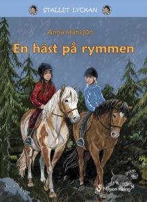 Pärmbild