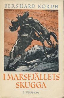 Pärmbild