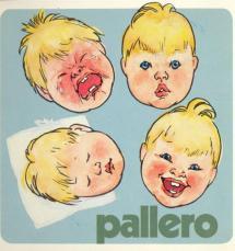 Pärmbild